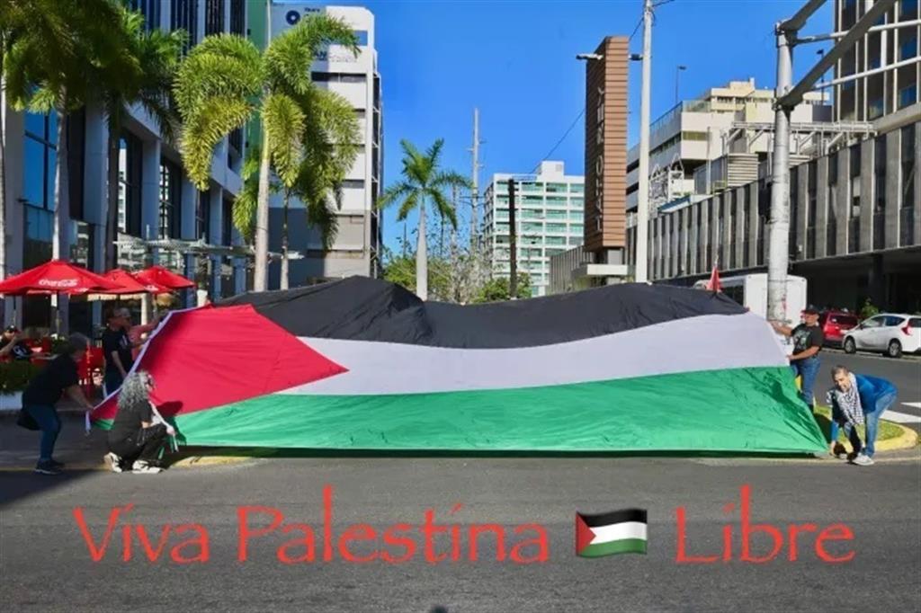 Palestina Claridad Voces del Sur Global