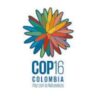 COP16