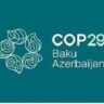 COP29 COP29